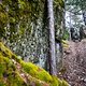 Die Meraner Highline beginnt hier als hübscher Trail-Traverse