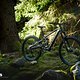 Trek Slash+ VT Light-Support-E-MTB 2025DSC 7122