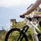 Die Burg Annaberg. Gibt dem Uphill seinen Namen