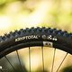 YT Decoy SN VT Light-Support-E-MTB 2025DSC 6994