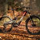 Rotwild R.EX 900 – ein potentes E-MTB mit polarisierender Optik und entnehmbarem Akku.