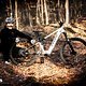 Das neue Pivot Shuttle LT sieht nicht nur verdammt schnell aus, ich konnte damit auch ziemlich flott über die Trails heizen.