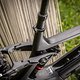 OLVC-Mountain Carbon ist Top of the Line bei Trek.