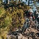 Bosch-eBike-Leissure-Liguria-MY2025-8425