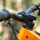 Canyon SpectralONfly CLLCTV VT Light-Support-E-MTB 2025DSC 7234
