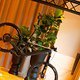 Foto Chris Spath Mahle M40 -24