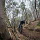20250401113232-SCB-BULLIT-MediaCamp-Slovenia-DSC07195