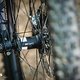 Orbea Wild Fast Forward Team 2025 Bikecheck DSC 2924