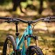 Perfekt für lange Trailtouren: Die Fox 36 mit Grip X2-Dämpfung und der komfortable Lenker aus Carbon.