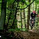 Propain Sresh SL Action DSC 3296-Verbessert-RR