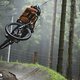 Flugstunden, Naturtrails, steiles, technisches Gelände – das Marin Rift Zone EL XR hat sich im The Mother Bikepark Winterberg wohlgefühlt.