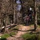 RockshoxZeb vs Fox38 Vergleichstest 2025 PSturm-2