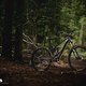 Orbea Wild – 2025 noch kompromissloser und mit neuem Bosch CX-Motor!