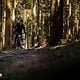 BH iLYNX TRAIL 2025 PSturm-14