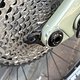 IMG 6174