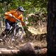 Ins Bike integriert dank großem Hauptrahmen und in Kombination mit dem guten Fahrwerk, werden trotz hoher Dynamik und verspieltem Charakter auch ruppige Streckenabschnitte gut gemeisert.