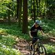 Singletrails bergauf? Geht mit dem File Plus – ist aber anstrengend!