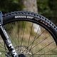 Am Heck ist ein Maxxis Forecaster aufgezogen, während an der Front ein Minion DHF Grip generiert