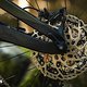 Montiert ist eine gruppenlose Vierkolben-Bremse von Shimano