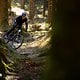 BH iLYNX TRAIL 2025 PSturm-16