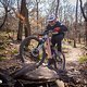 Haibike ALLMTN CF 11 TRN/IQ mit Pinion MGU