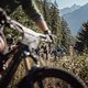 E-BikeWM VB 25 (6)