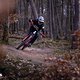 RockshoxZeb vs Fox38 Vergleichstest 2025 PSturm-12