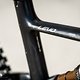 Nathanael-Ross-Specialized-3772