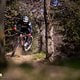 Haibike ALLMTN CF 11 TRN/IQ mit Pinion MGU