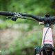 Orbea Wild Fast Forward Team 2025 Bikecheck DSC 2916