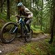 Kompakte Kettenstreben und hohe Motordynamik erschweren die Kontrolle.