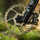 YT Decoy SN VT Light-Support-E-MTB 2025DSC 7049