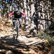 Latsch-Haibike-8423