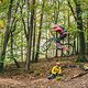 DSC00315-Verbessert-RR
