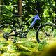 Grandios! Forbidden Druid Lite E definiert Uphill-Performance neu. Dank traktionstarkem Hinterbau, steilem Sitzwinkel und äußerst kraftvollen DJI Avinox-Motor machen Uphills mit diesem E-Bike besonders viel Spaß.