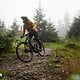Bosch Flow Camp 2025 emtb news MH-36