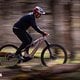 Haibike ALLMTN CF 11 TRN/IQ mit Pinion MGU