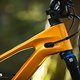 Canyon SpectralONfly CLLCTV VT Light-Support-E-MTB 2025DSC 7214