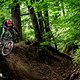 Auf dem Trail hat mir das Propain Sresh SL enorm viel Spaß gemacht.