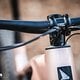 Haibike AllMtn Pinion DSC 8738