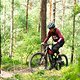 Gemächlich abgestimmt ist der Eco-Modus, den wir aber schnell verlassen haben – wir wollten die rohe Power des DJI Avinox auskosten!