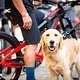 Foto Chris Spath EMTB-News Thok-Tribe-006