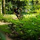 Foto Chris-074