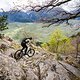 Technische Trails über Apfel-Aussicht - was wil Biker*in mehr?
