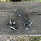 IMG 6171