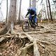 20250402161251-SCB-BULLIT-MediaCamp-Slovenia-DSC07867
