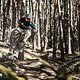 Das Giant Trance X E+ Elite hat sich mit leichten Abstrichen als ein sehr fähiger Allrounder präsentiert.