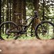 Orbea Rise LT M10 kommt mit 160 / 150 mm Federweg und setzt auf Fox Factory-Fahrwerkstechnik