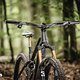 Orbea Wild 2025 DSC 6104