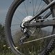 Zwar setzen TP4, TP4-S und TP4-R jeweils auf Shimano-Antriebe, dennoch ist das Rad mit UDH-Schaltauge ausgerüstet
